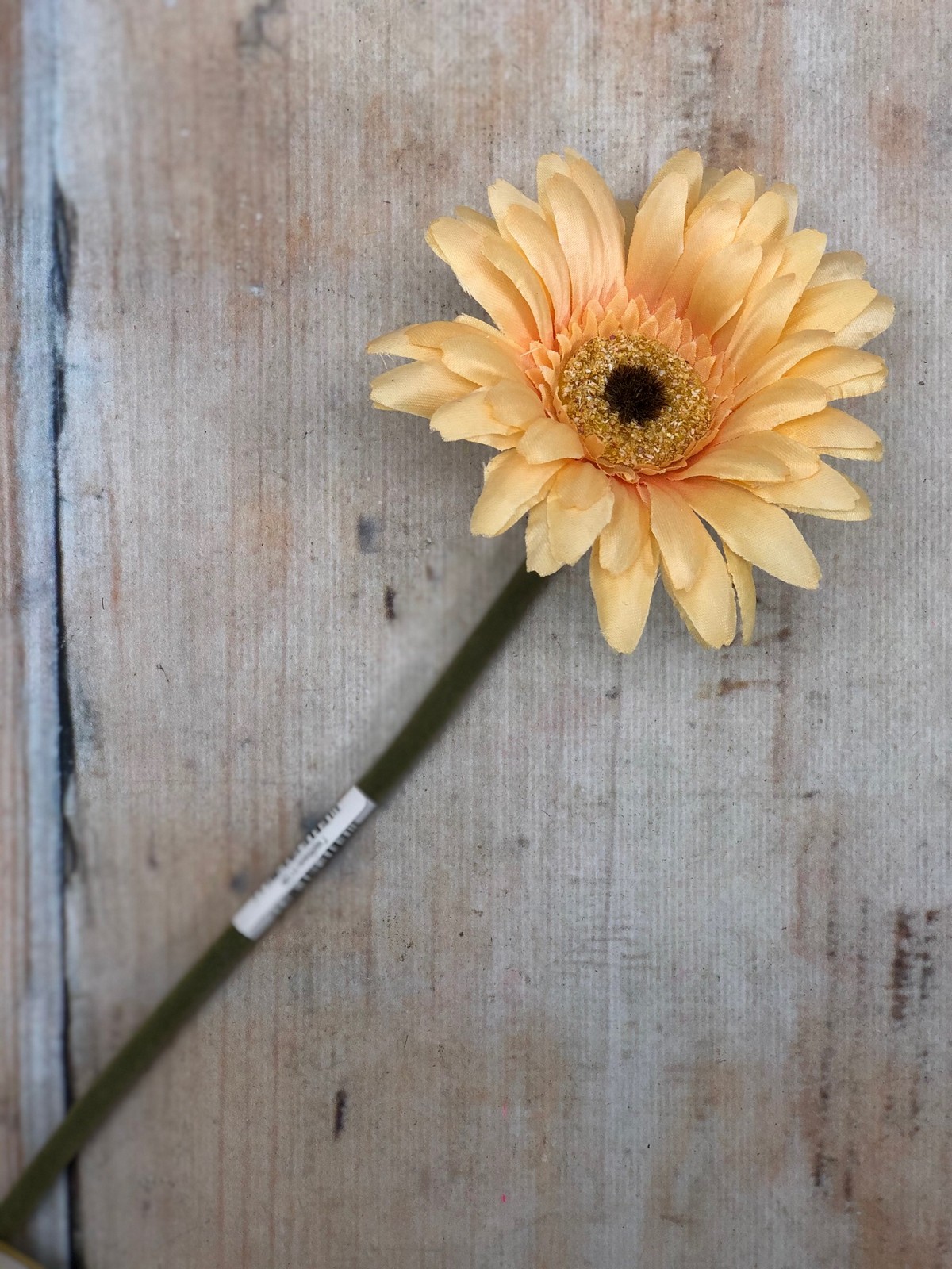 Гербера K120  Интернет-магазин Feron Flower 