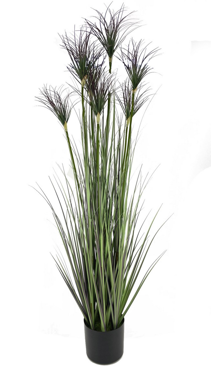 Осока в горшке 7108-PG-PPU  Интернет-магазин Feron Flower 