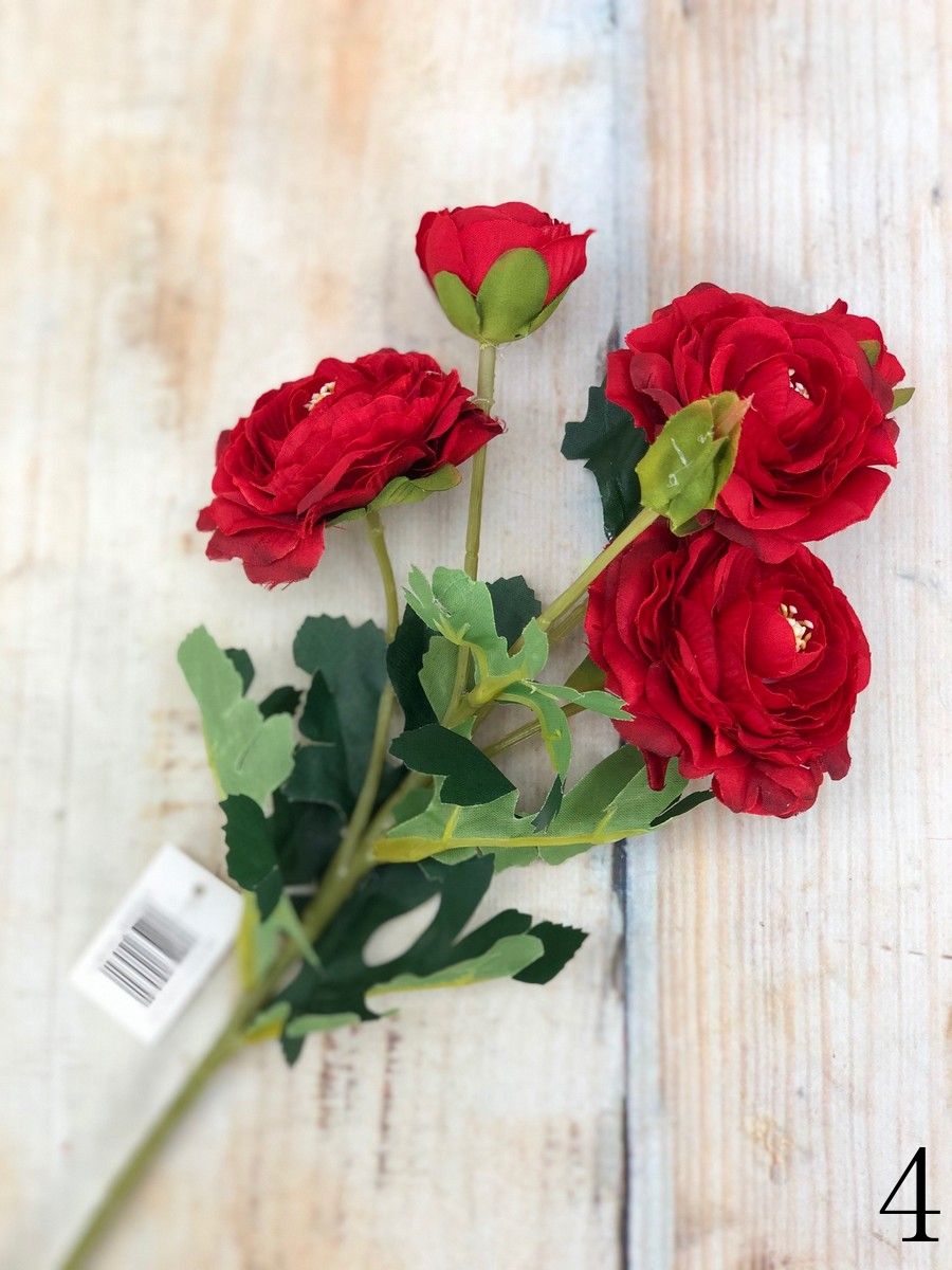 Ранункул CZ045  Интернет-магазин Feron Flower 