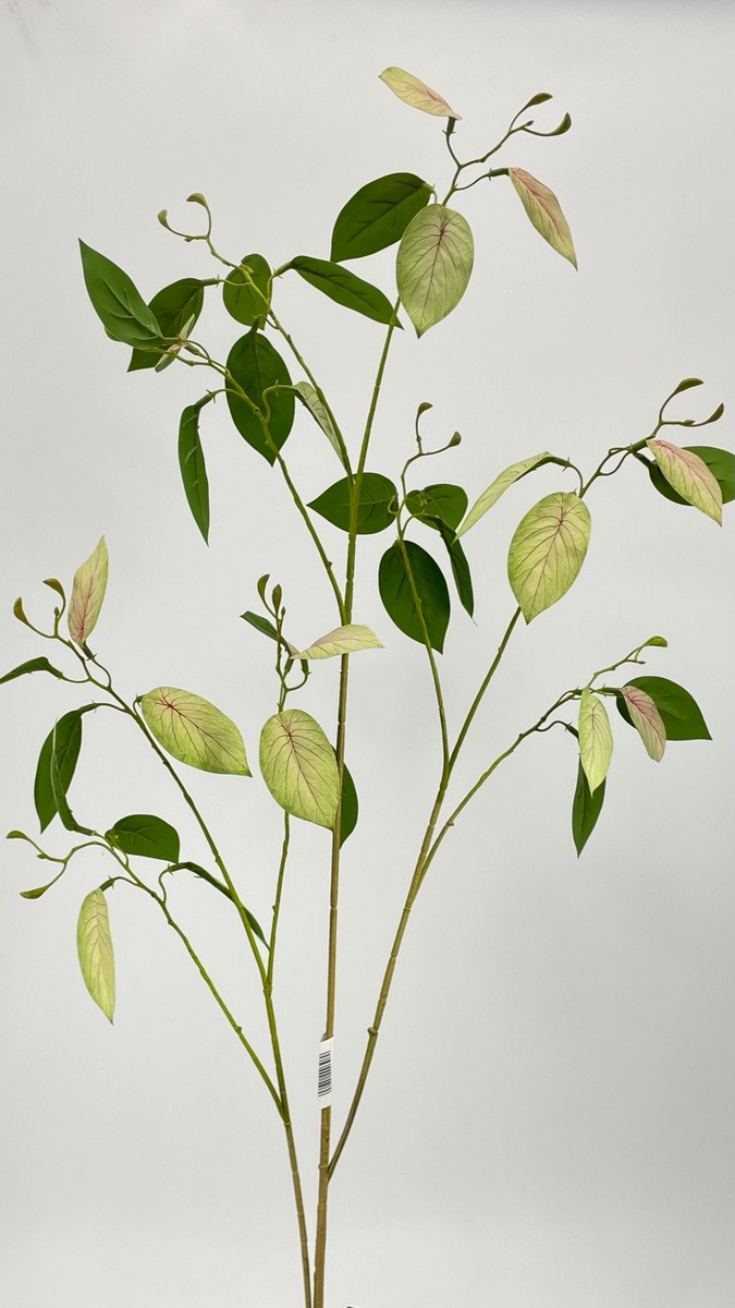 Ветка зелени 995785  Интернет-магазин Feron Flower 