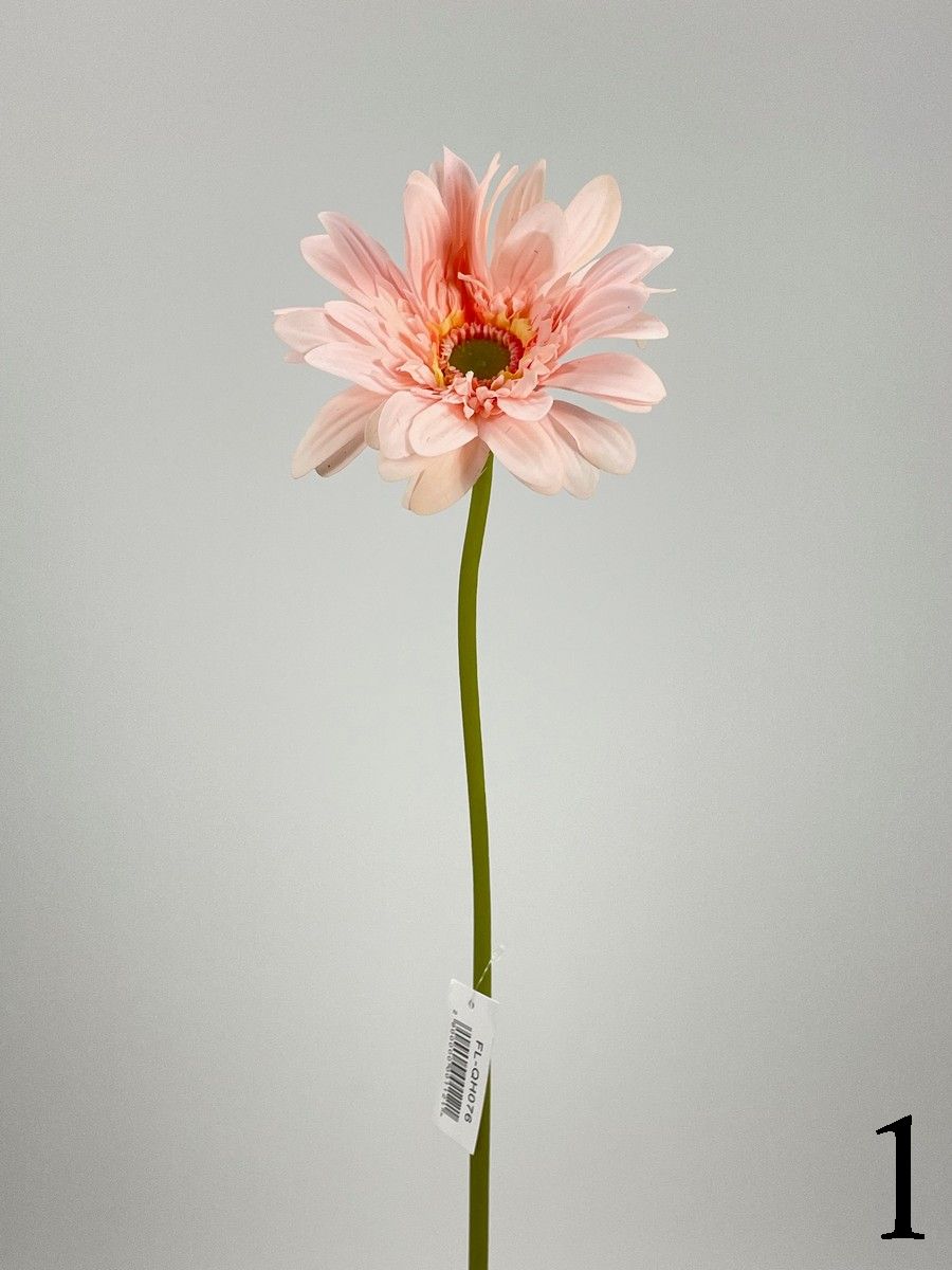 Гербера FL-QH076  Интернет-магазин Feron Flower 