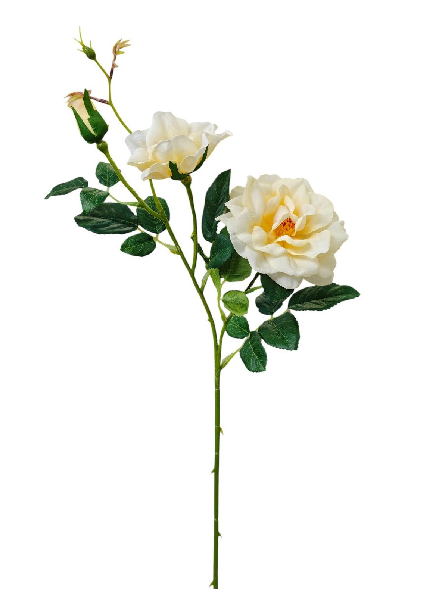 Роза 9144-1341  Интернет-магазин Feron Flower 
