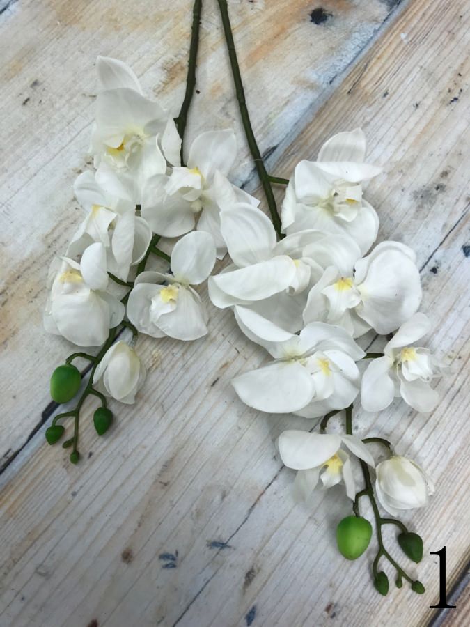 Орхидея 149CANSK63809  Интернет-магазин Feron Flower 