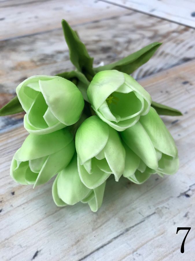 Тюльпан 81CAN056  Интернет-магазин Feron Flower 