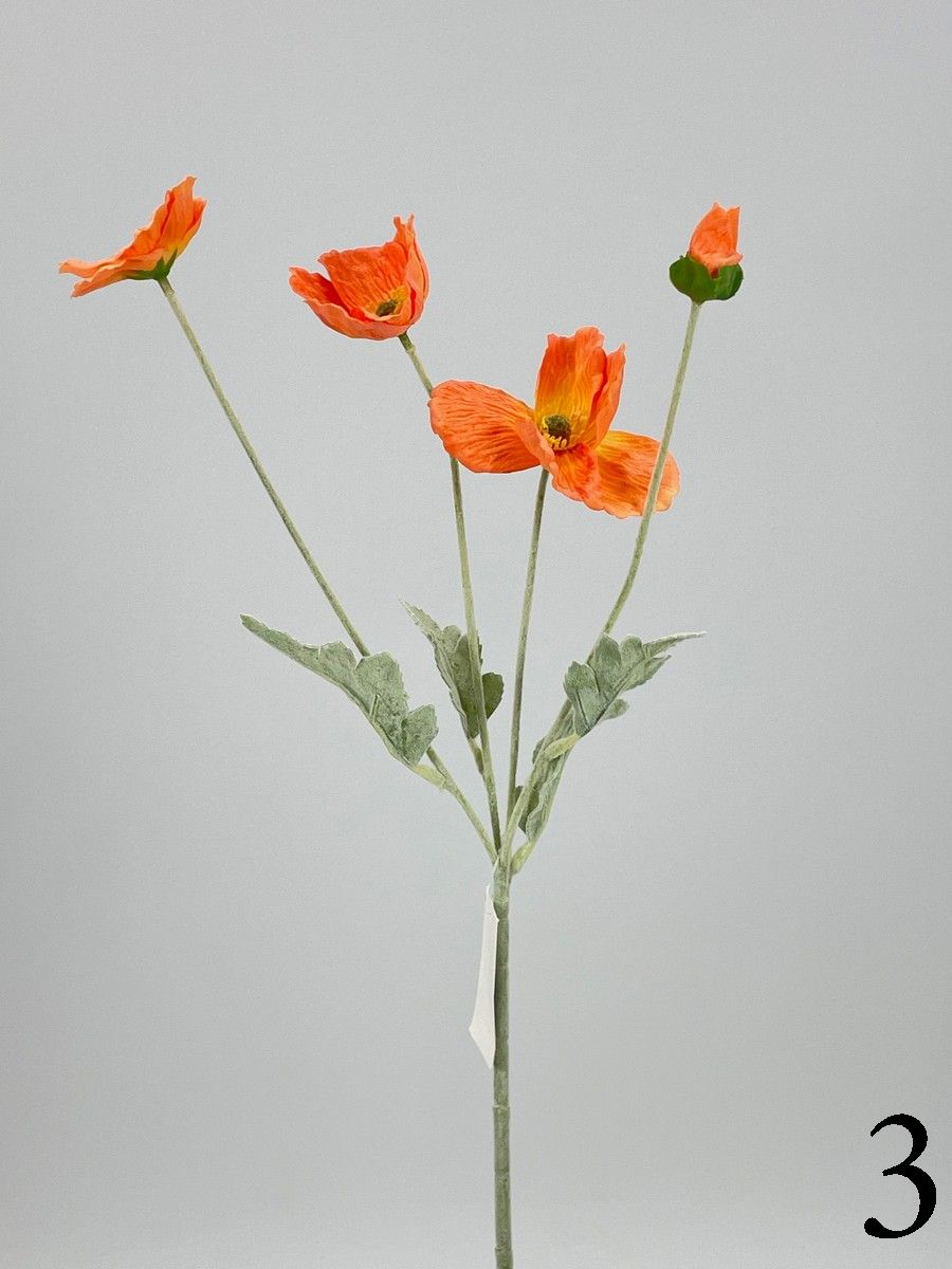 Мак PIO-115  Интернет-магазин Feron Flower 