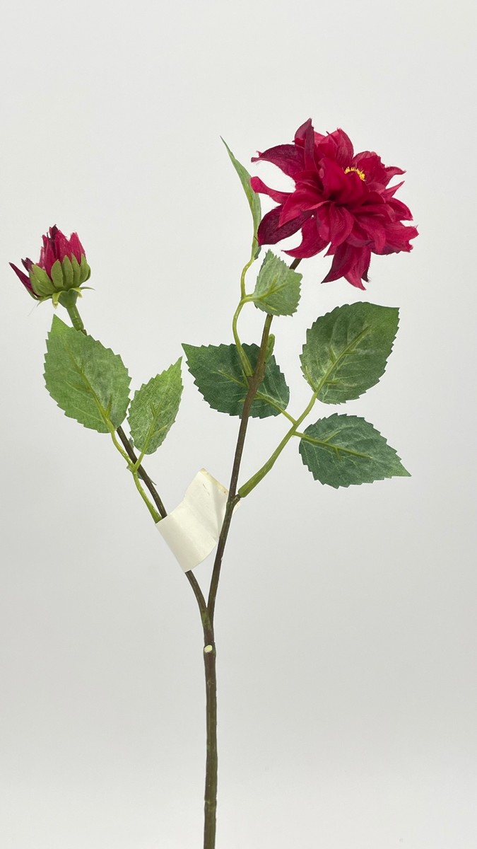 Далия 542345  Интернет-магазин Feron Flower 