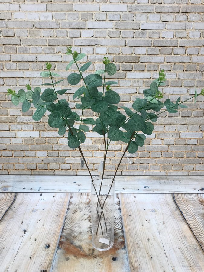 Эвкалипт DY1-1812  Интернет-магазин Feron Flower 