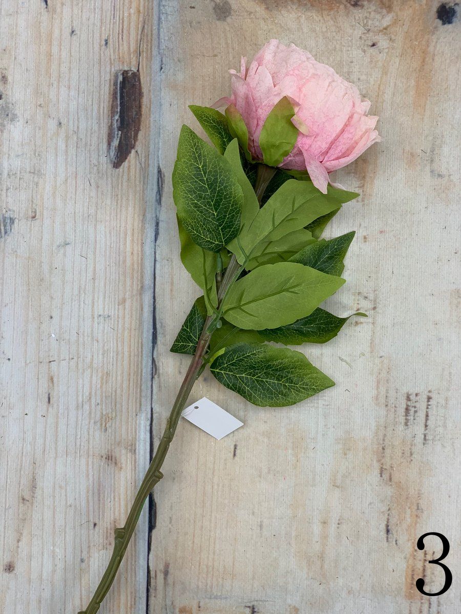 Пион VIP2135  Интернет-магазин Feron Flower 