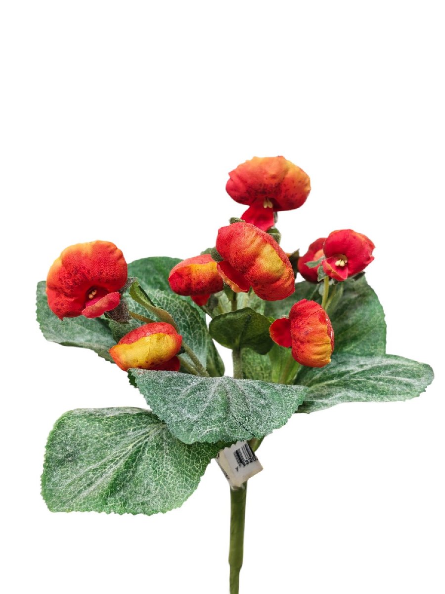 Пантофелек 6513  Интернет-магазин Feron Flower 