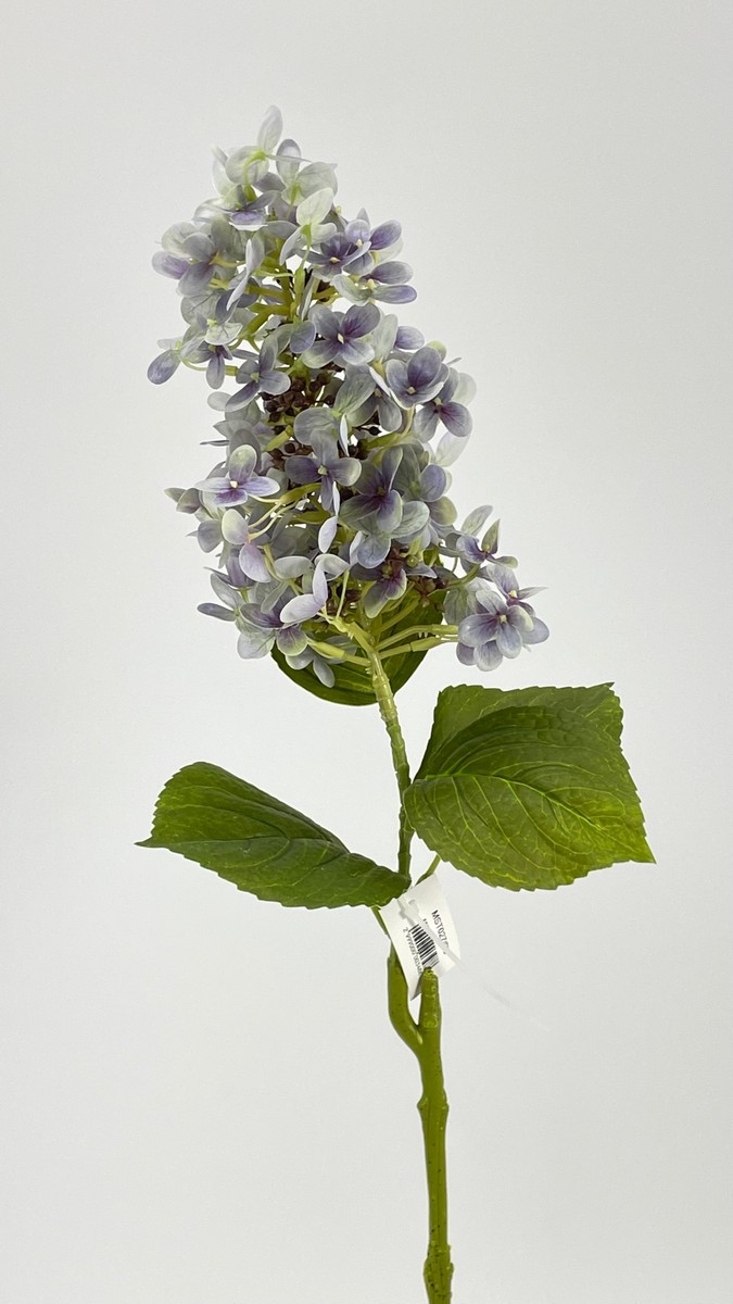 Гортензия MST027  Интернет-магазин Feron Flower 
