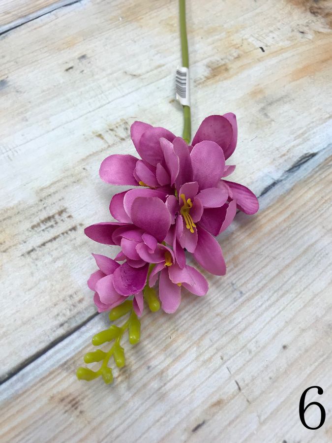 Фрезия JM014  Интернет-магазин Feron Flower 