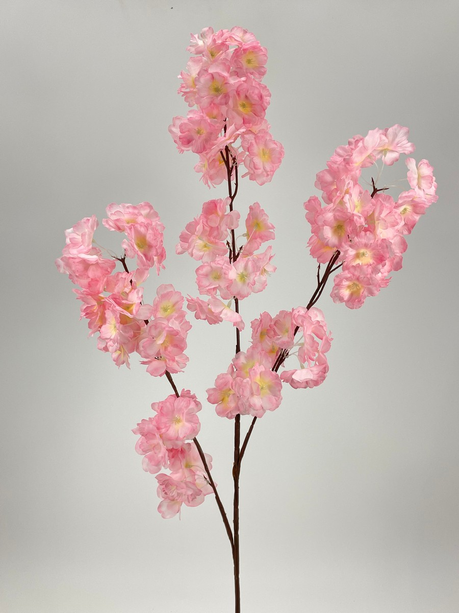 Яблонь FL-QH086  Интернет-магазин Feron Flower 