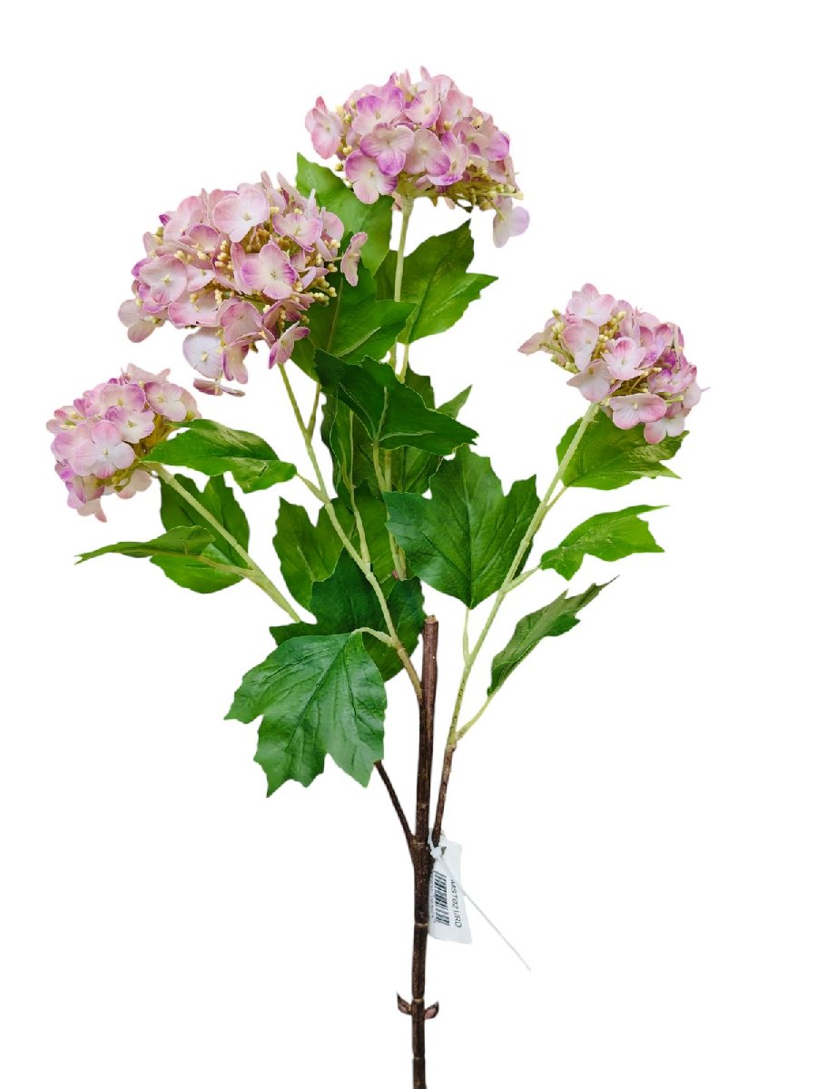 Вибурнум MST021  Интернет-магазин Feron Flower 