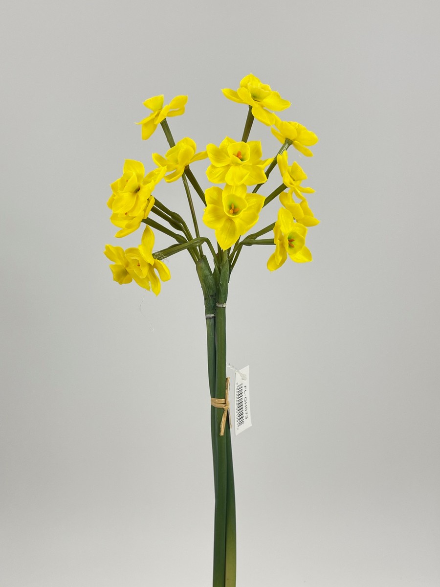 Нарцисс латекс FL-QH073  Интернет-магазин Feron Flower 