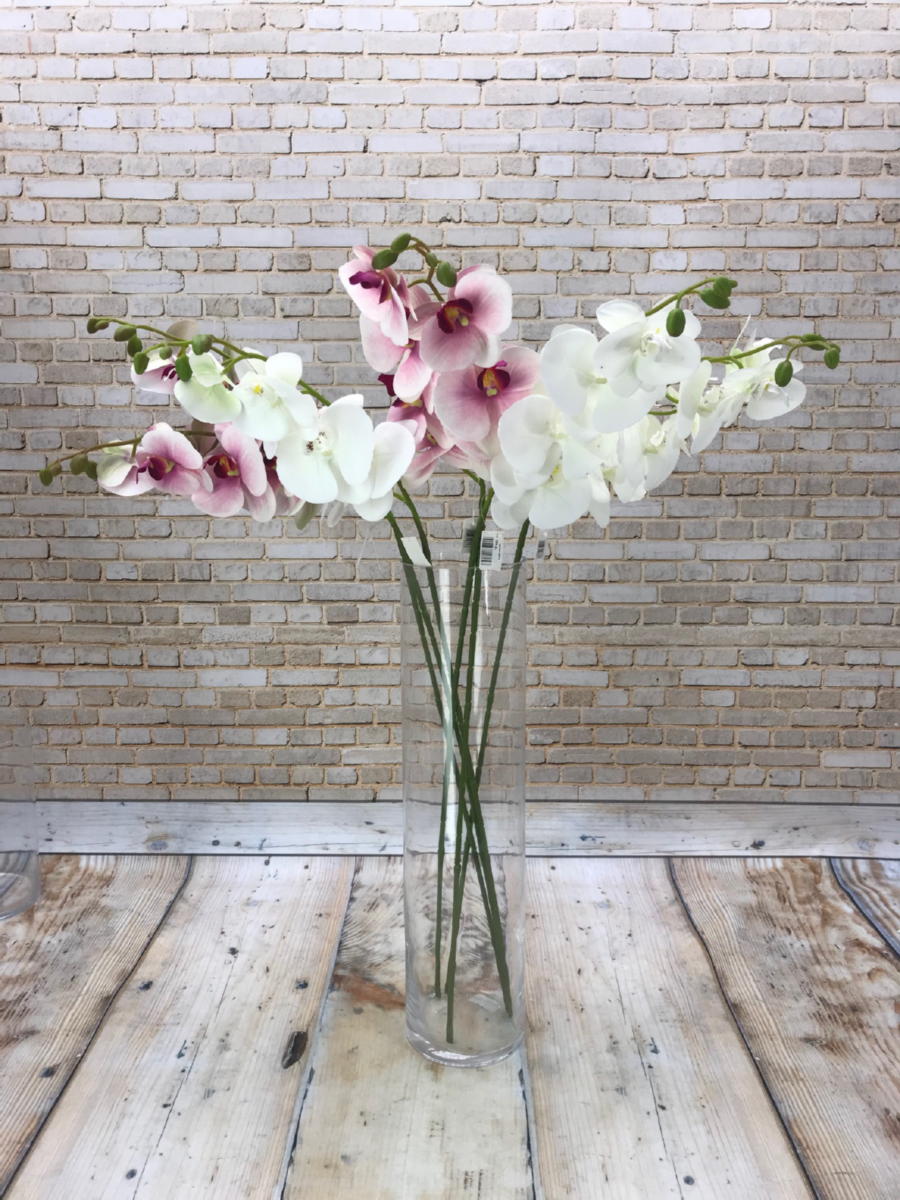 Орхидея ZB019  Интернет-магазин Feron Flower 