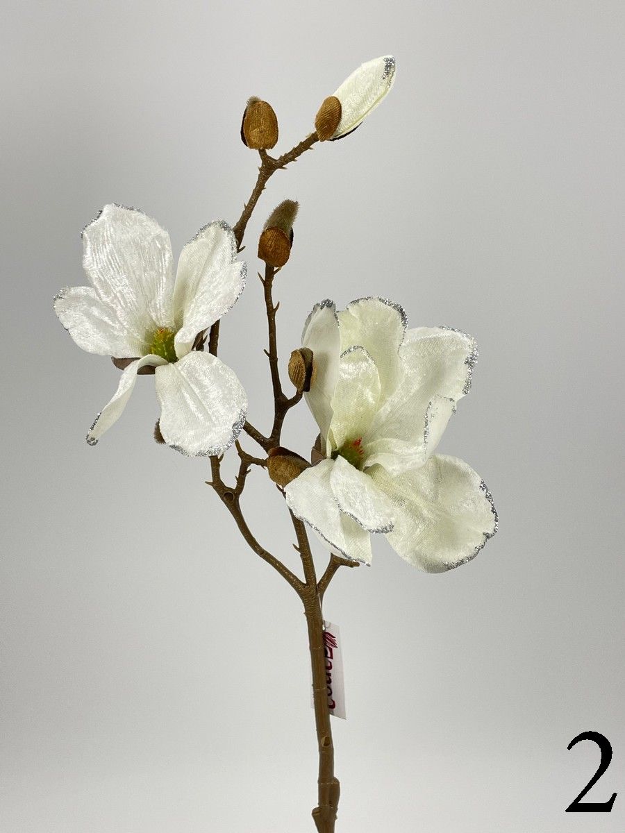 Магнолия 214CAN1293  Интернет-магазин Feron Flower 