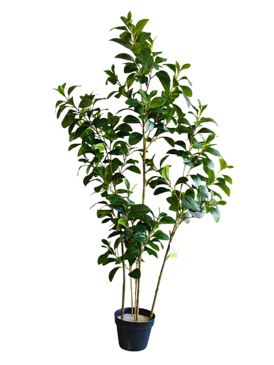 Фикус 9259-1335  Интернет-магазин Feron Flower 