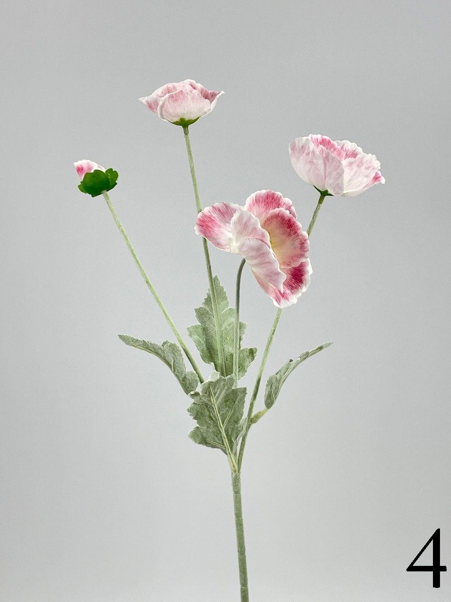 Мак PIO-115  Интернет-магазин Feron Flower 
