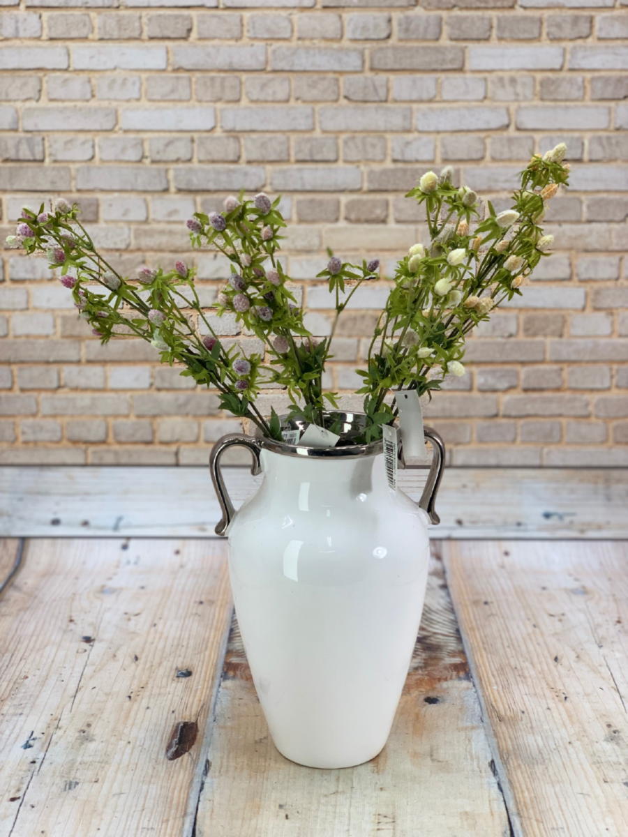 Филадендрон 3008  Интернет-магазин Feron Flower 