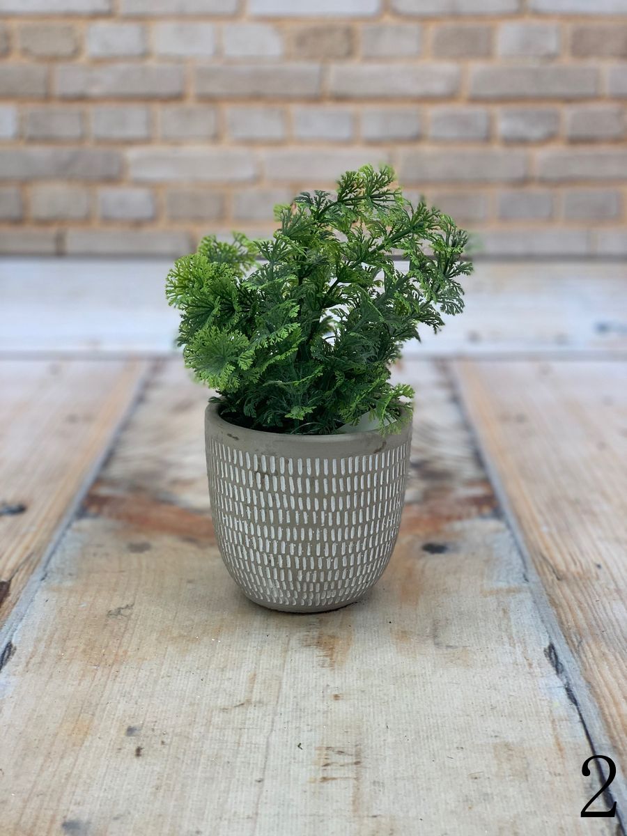 Зелень в горшке PD-562F  Интернет-магазин Feron Flower 