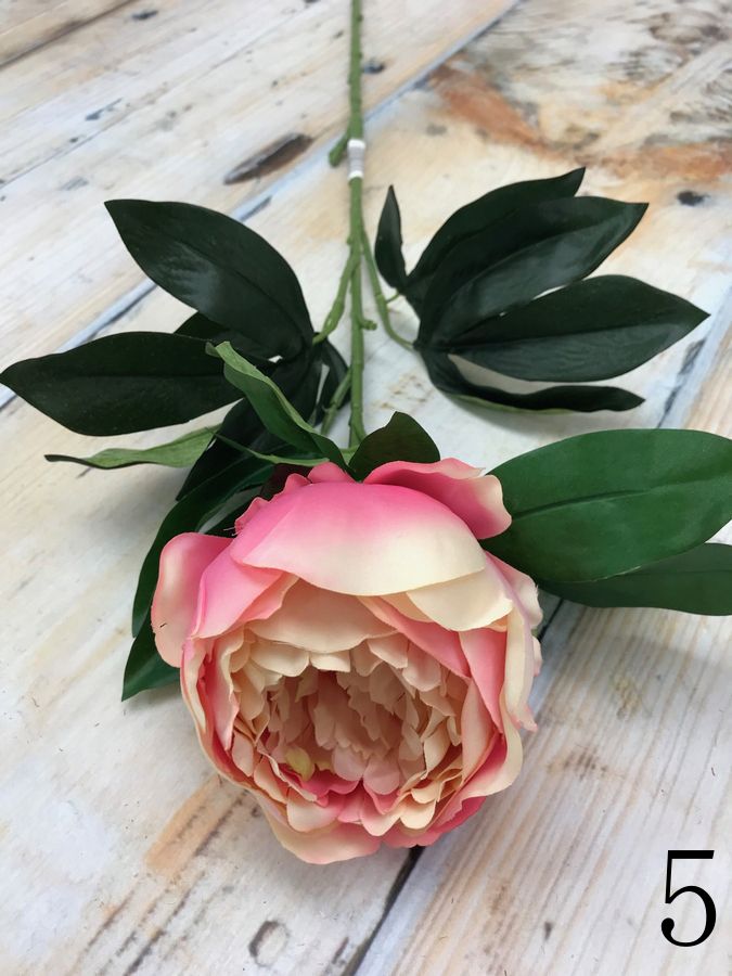 Пион K476  Интернет-магазин Feron Flower 