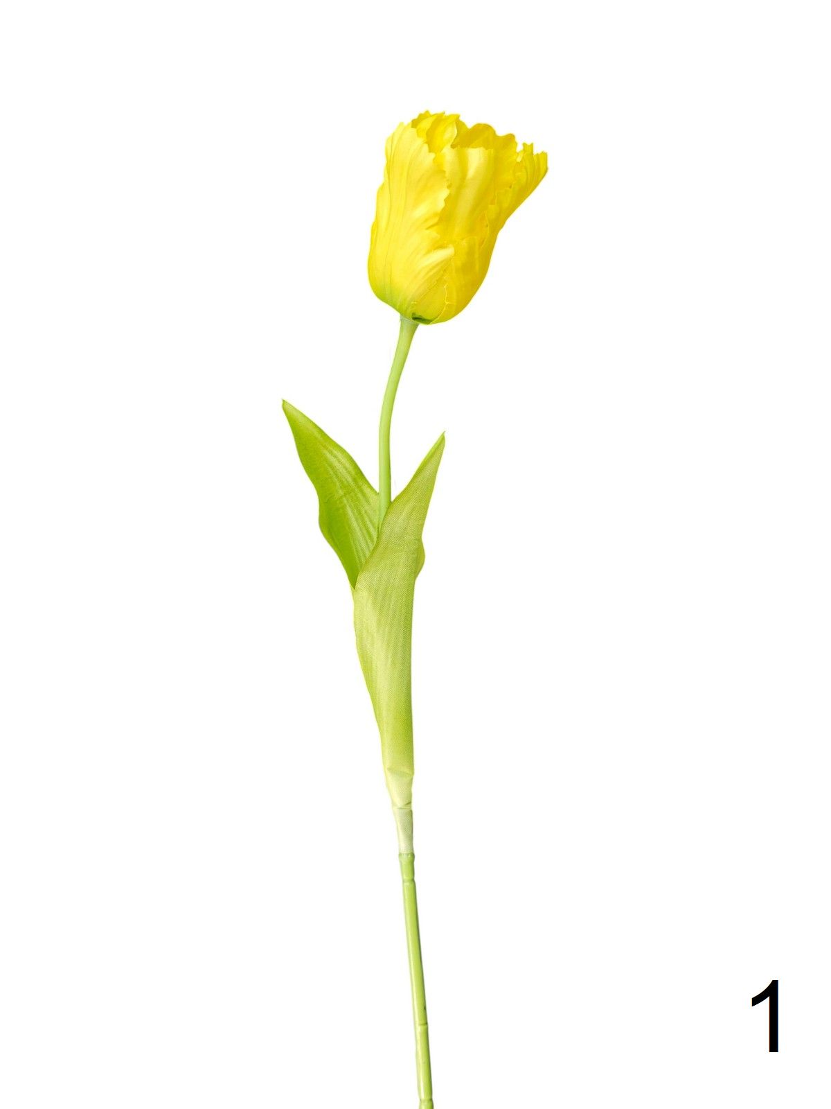 Тюльпан 131149  Интернет-магазин Feron Flower 