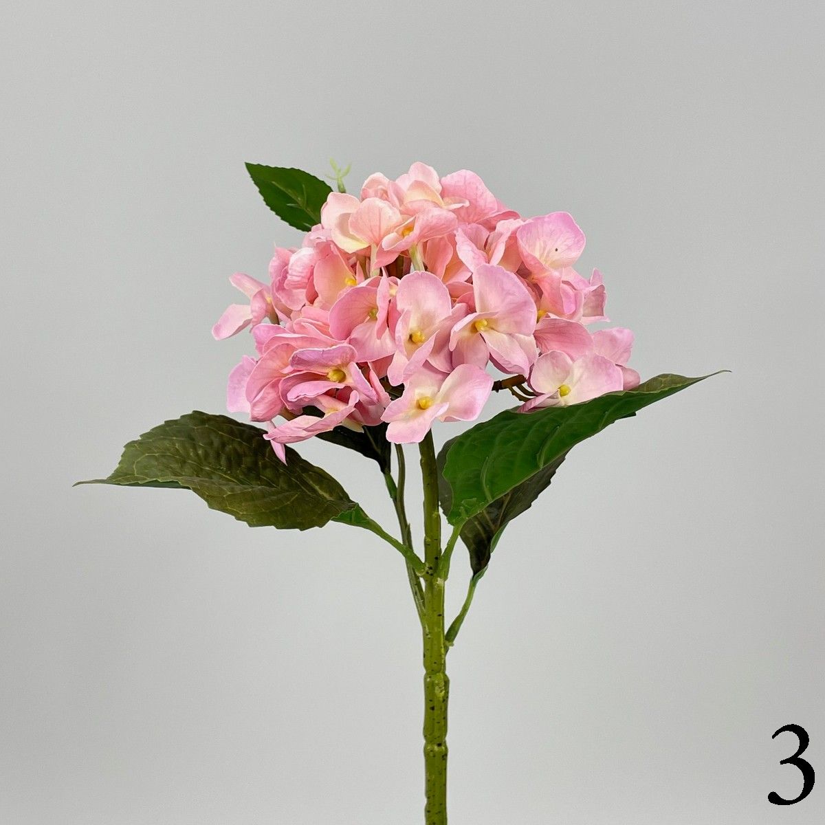 Гортензия MST015  Интернет-магазин Feron Flower 