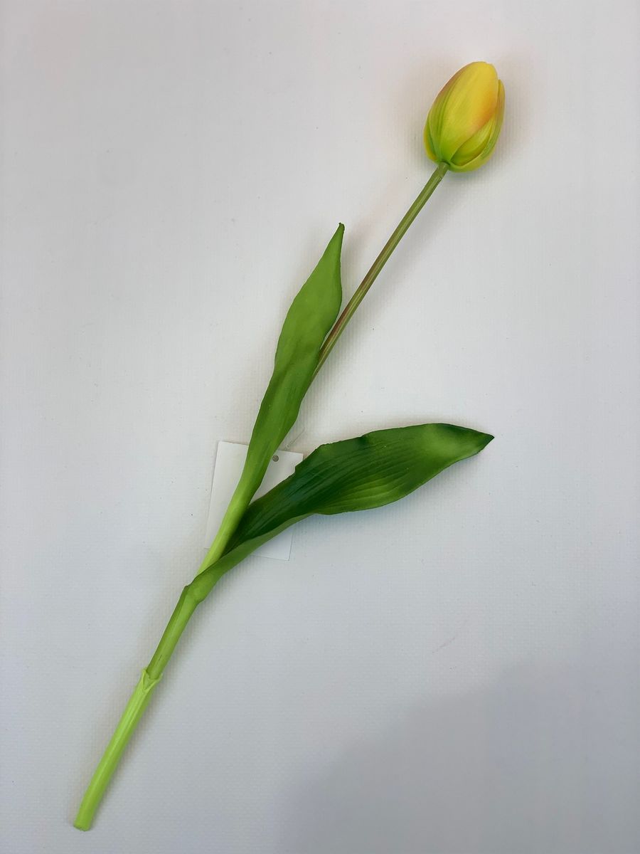 Тюльпан K04034  Интернет-магазин Feron Flower 