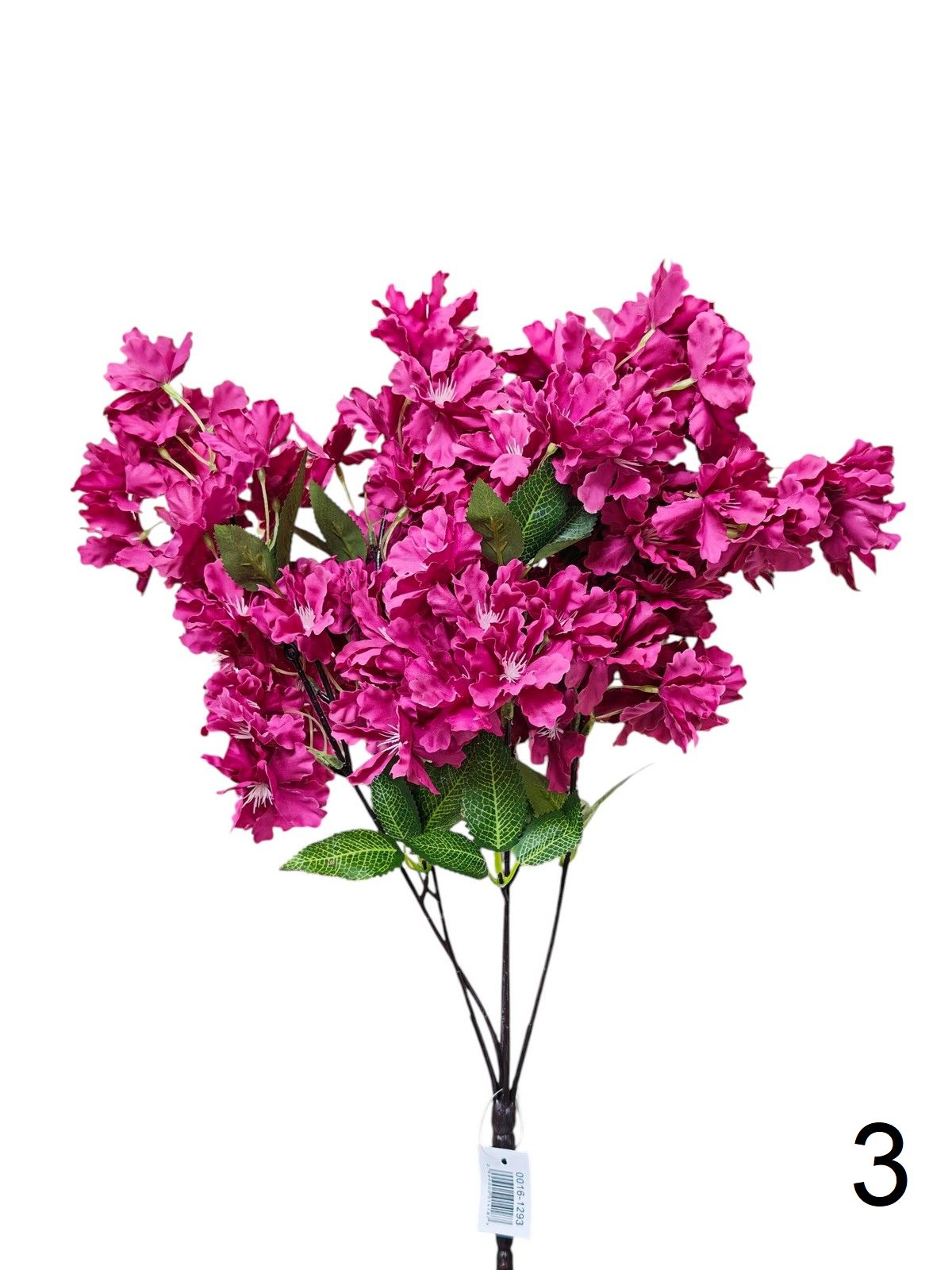 Яблонь 0016-1293  Интернет-магазин Feron Flower 