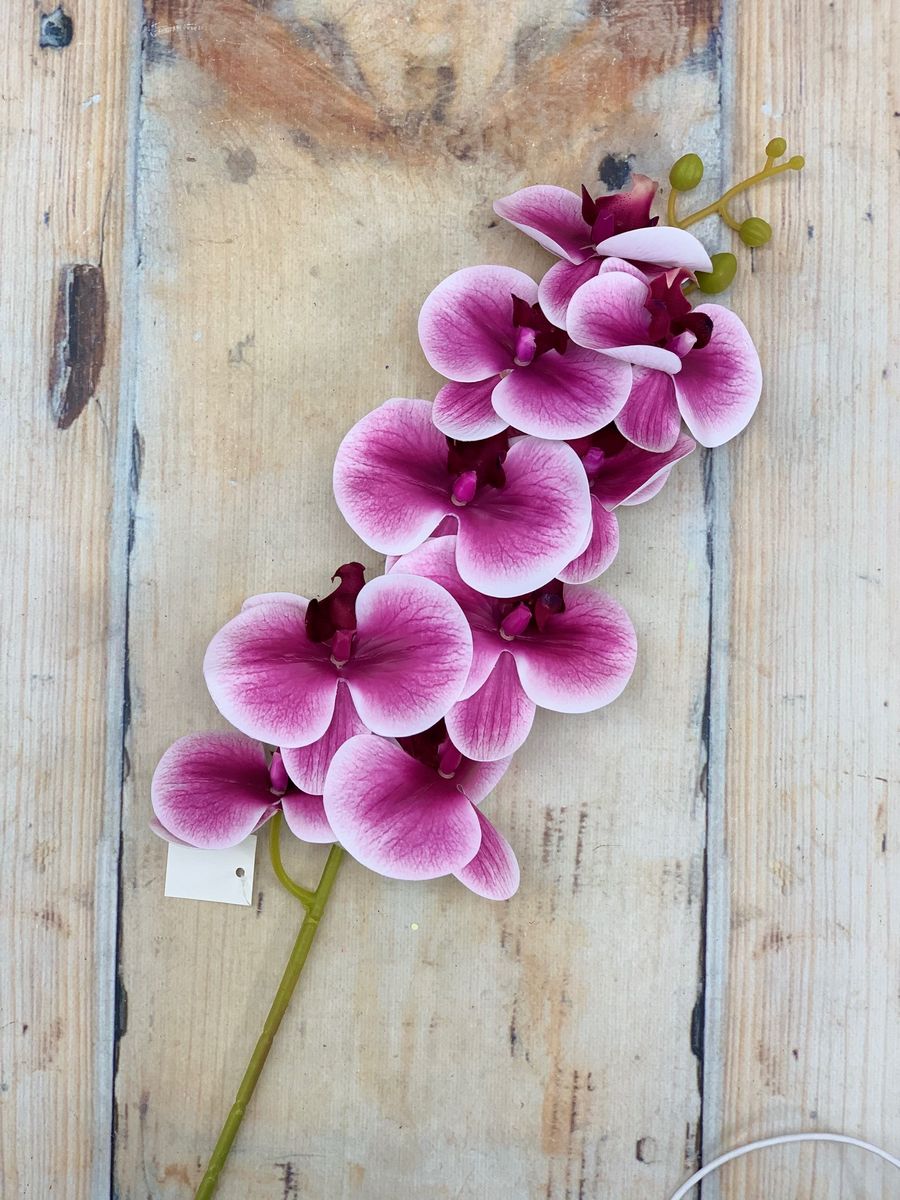 Орхидея AJ48131  Интернет-магазин Feron Flower 