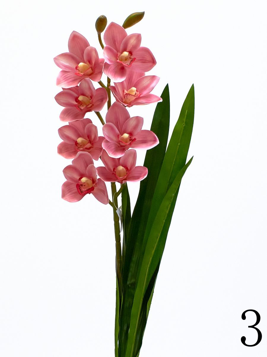 Орхидея K03977  Интернет-магазин Feron Flower 