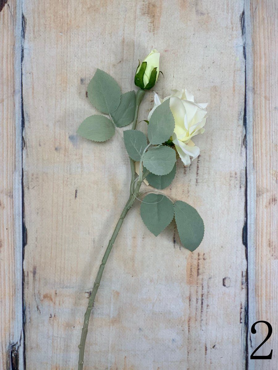 Роза 20KL767  Интернет-магазин Feron Flower 