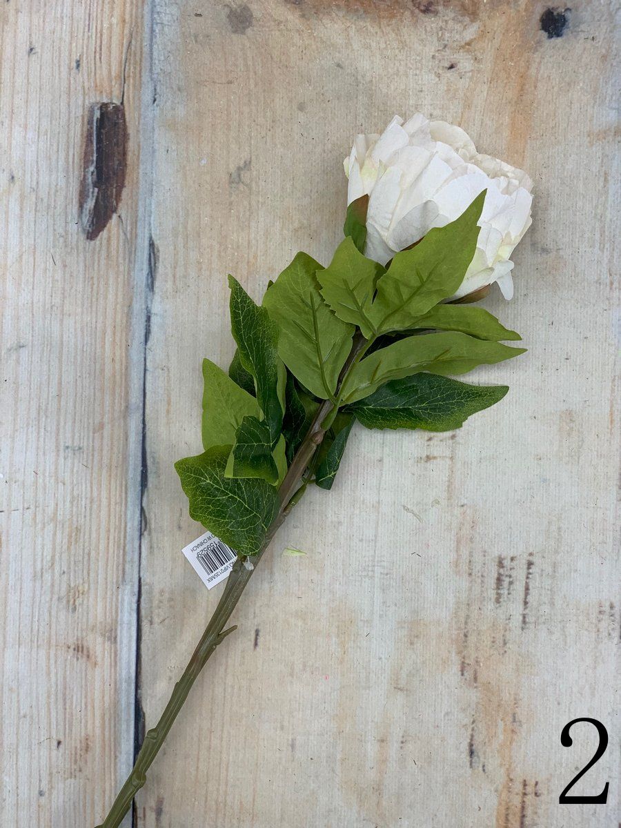 Пион VIP2135  Интернет-магазин Feron Flower 