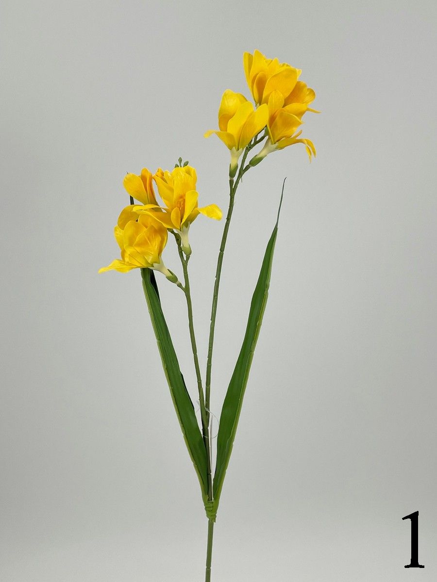 Фрезия PIO-112  Интернет-магазин Feron Flower 