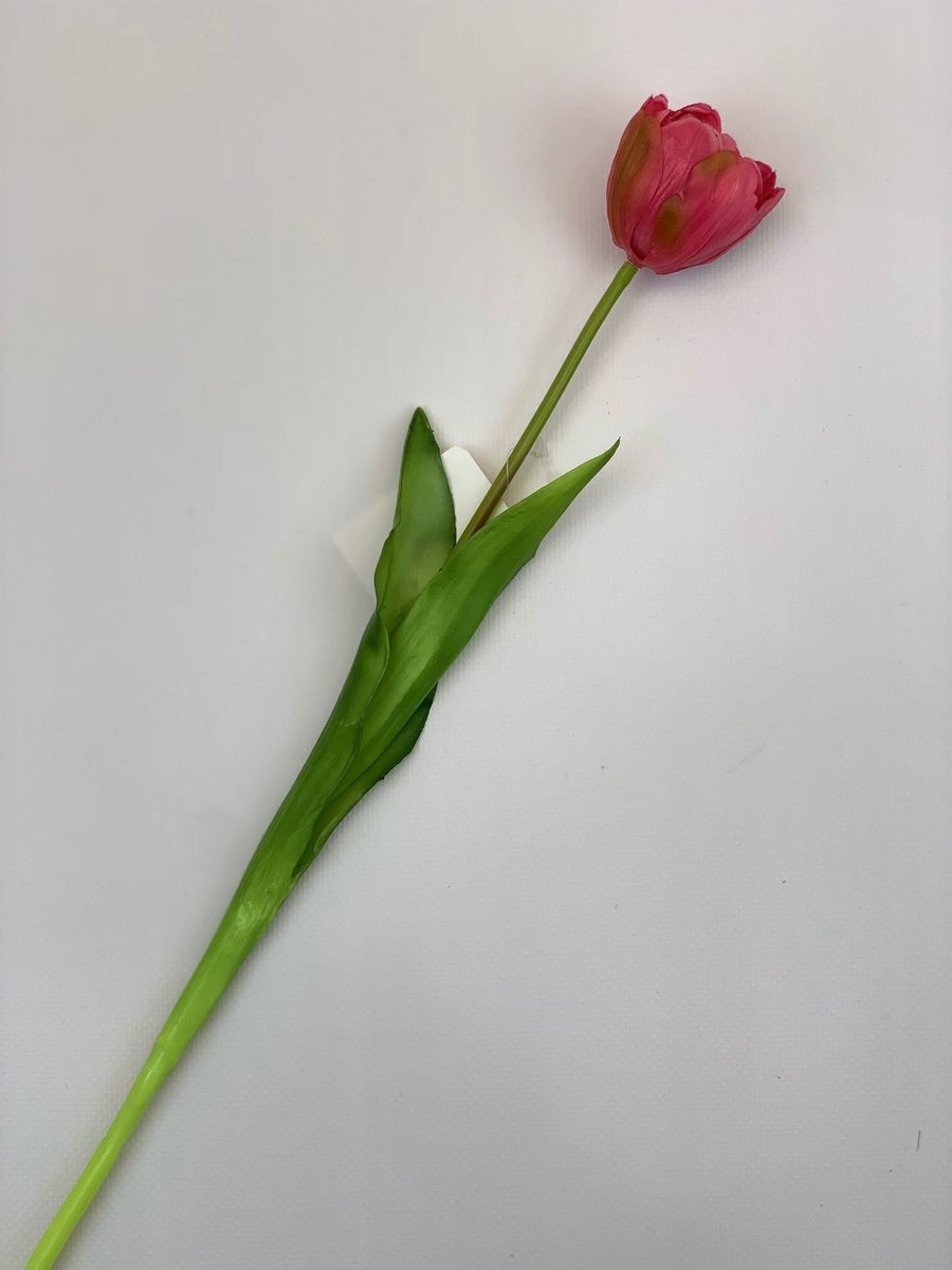 Тюльпан K04041  Интернет-магазин Feron Flower 