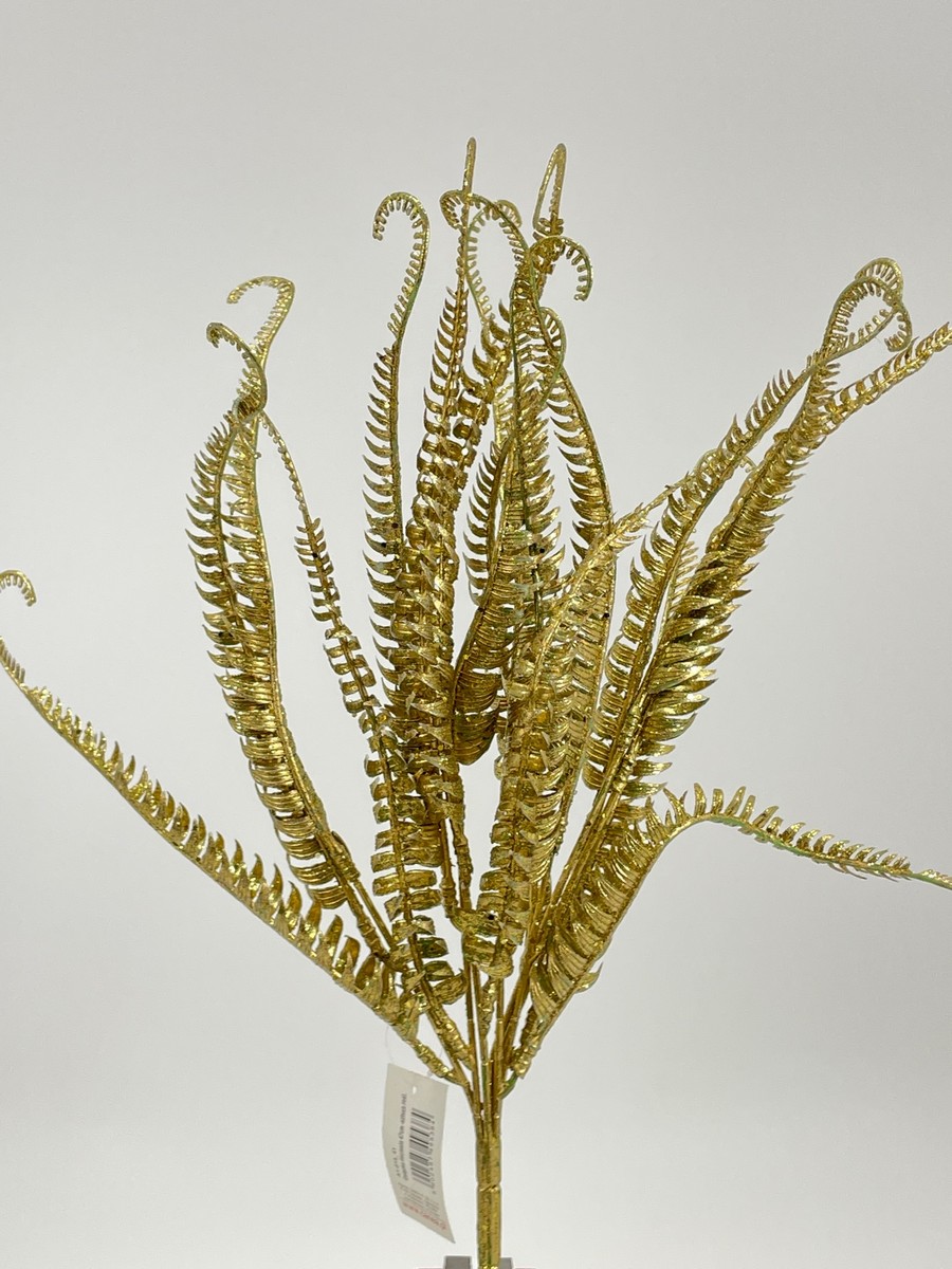 Папоротник A1-015_41  Интернет-магазин Feron Flower 