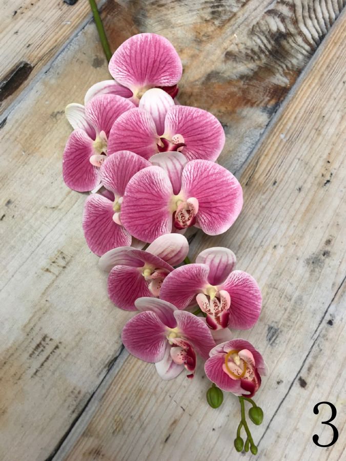 Орхидея K03765  Интернет-магазин Feron Flower 