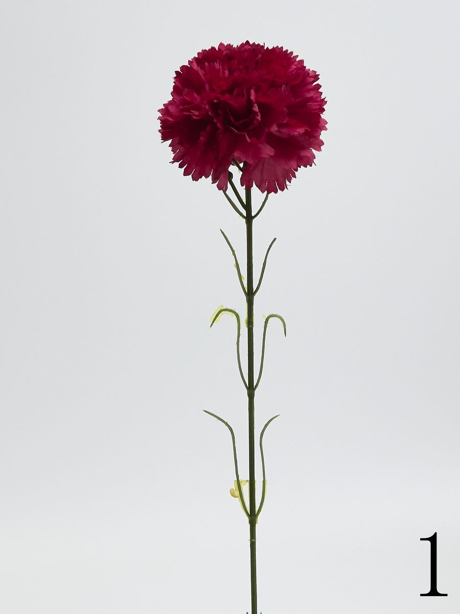 Гвоздика K396  Интернет-магазин Feron Flower 