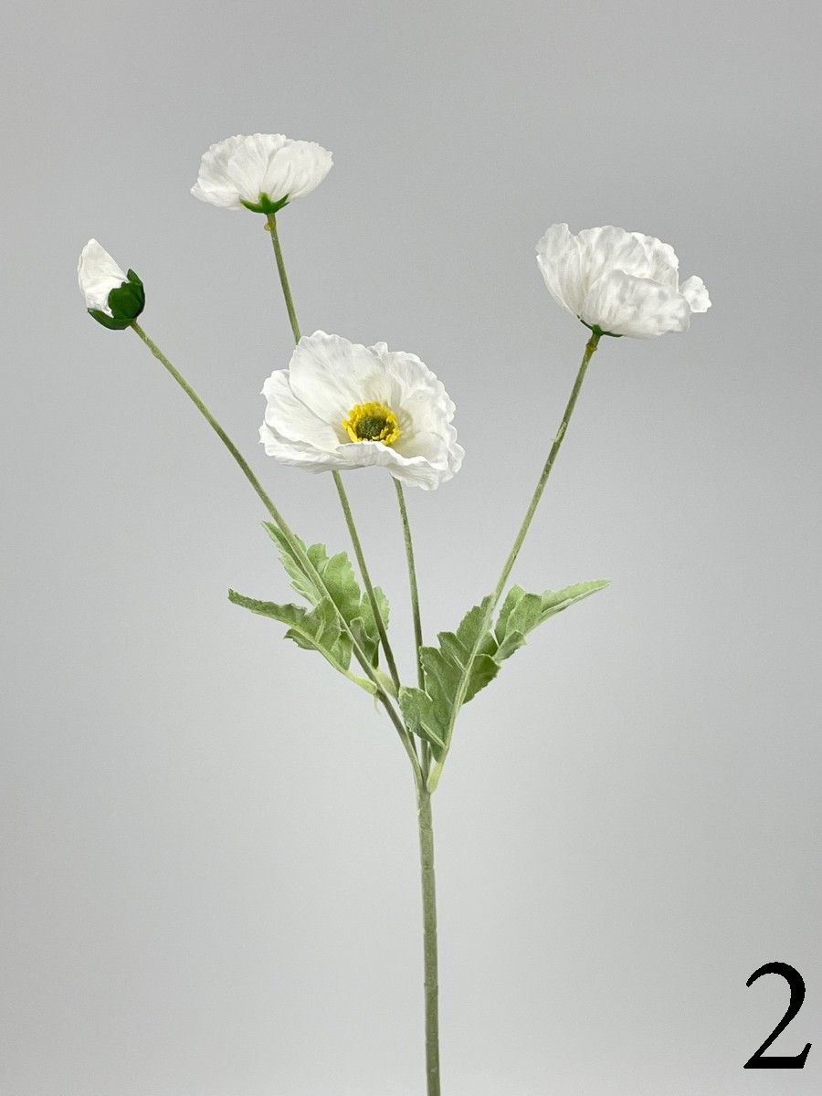 Мак PIO-115  Интернет-магазин Feron Flower 
