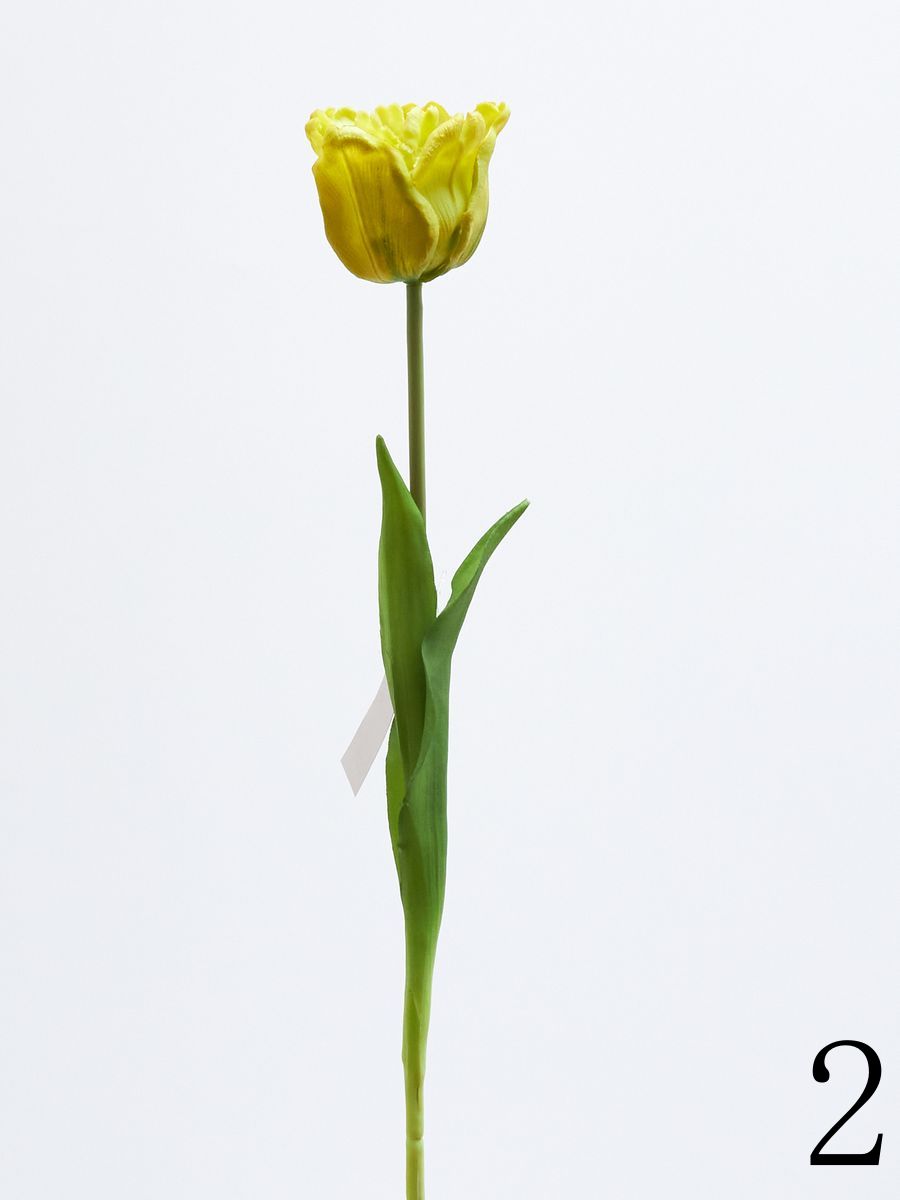 Тюльпан 12522858  Интернет-магазин Feron Flower 