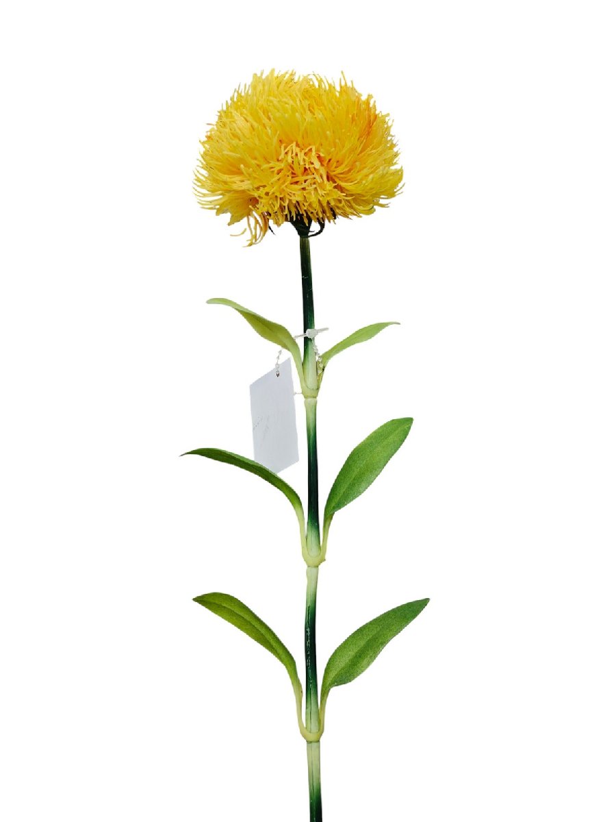 Леукоспермум K03957  Интернет-магазин Feron Flower 