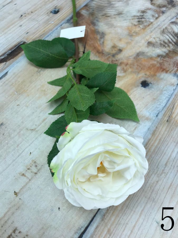 Роза SUN520  Интернет-магазин Feron Flower 