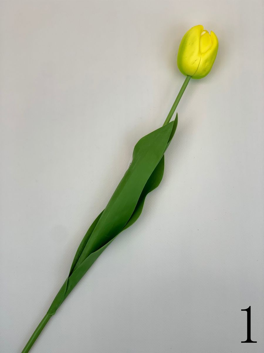 Тюльпан CG0054  Интернет-магазин Feron Flower 