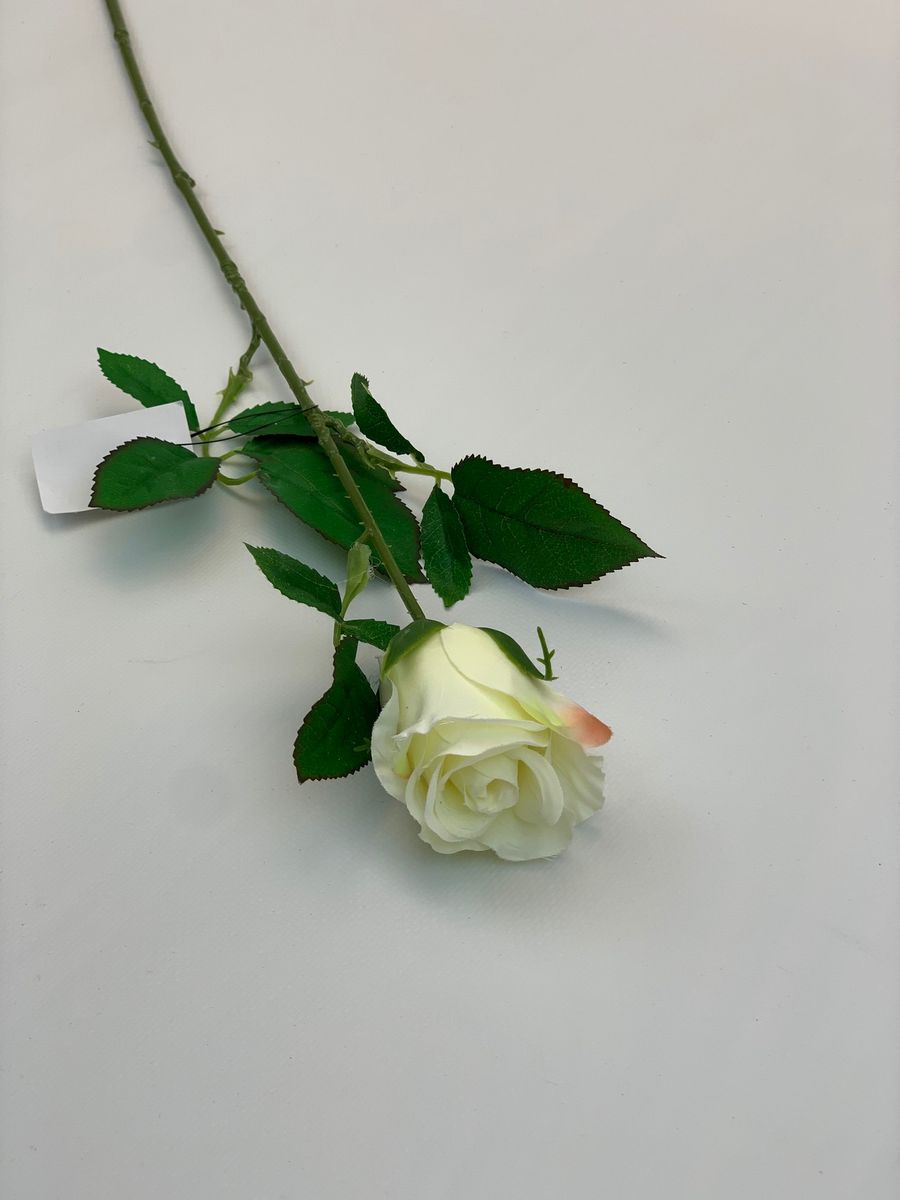 Роза SUN411  Интернет-магазин Feron Flower 
