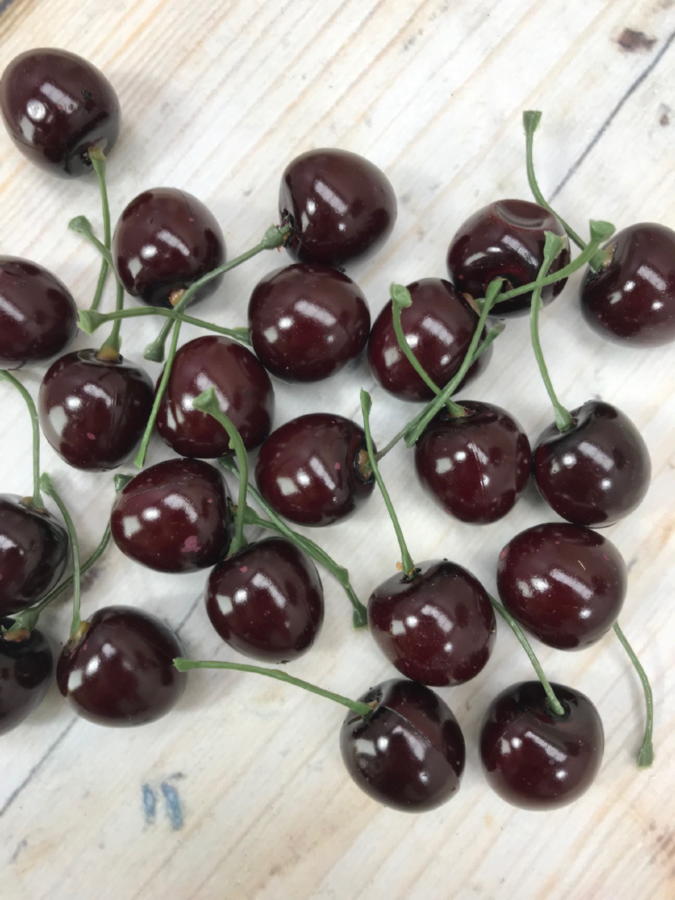 Вишня X-18  Интернет-магазин Feron Flower 