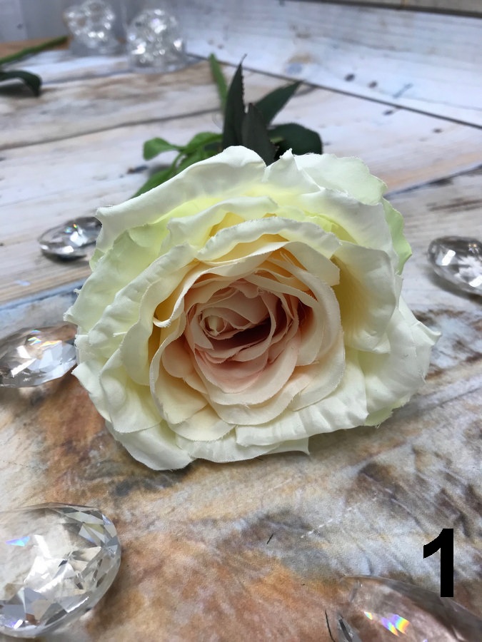 Роза SUN371  Интернет-магазин Feron Flower 