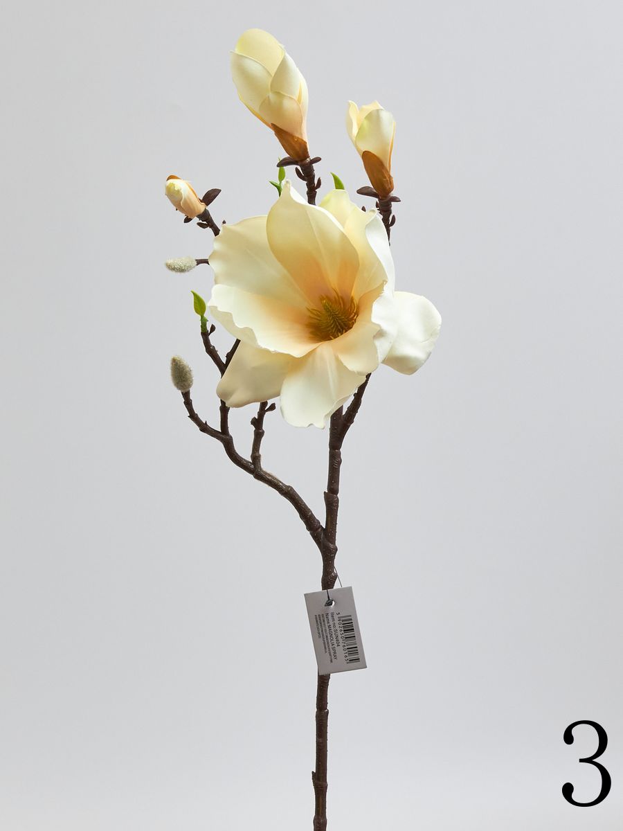 Магнолия SUN404  Интернет-магазин Feron Flower 