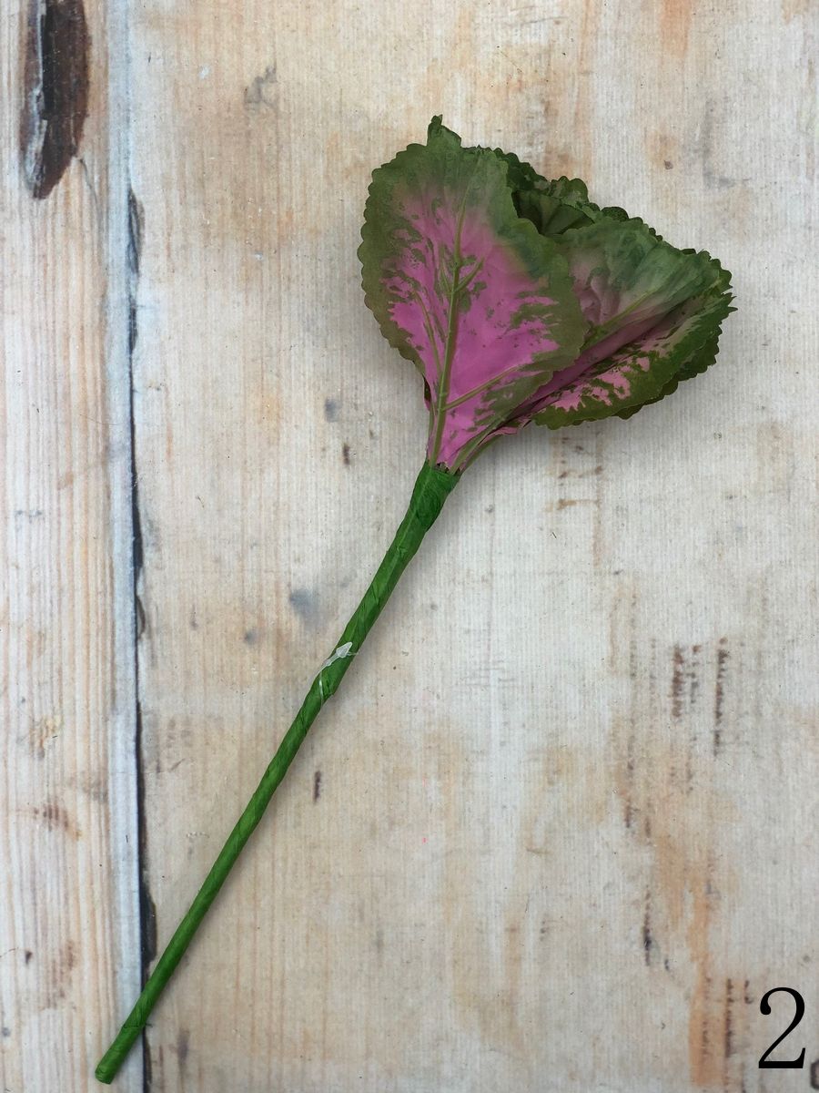 Капуста R801  Интернет-магазин Feron Flower 