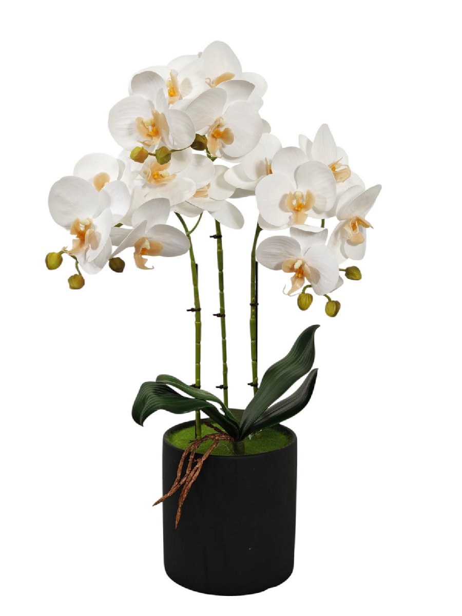Орхидея в горшке FL-QH145  Интернет-магазин Feron Flower 