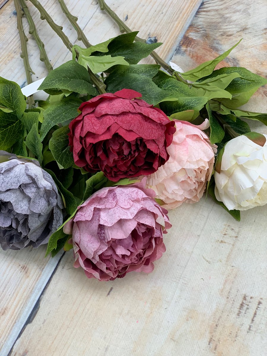 Пион VIP2135  Интернет-магазин Feron Flower 